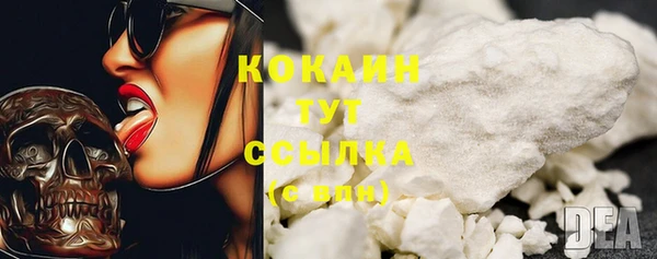сатива Приозерск