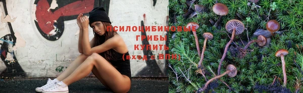 круглые Абаза