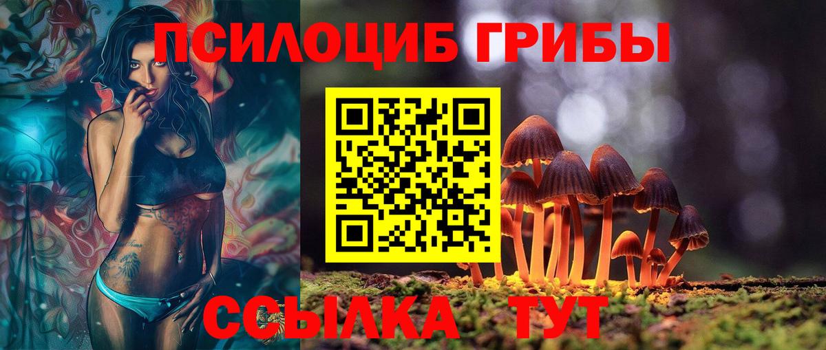 Карталы  Галлюциногенные грибы мицелий  Вход с VPN 